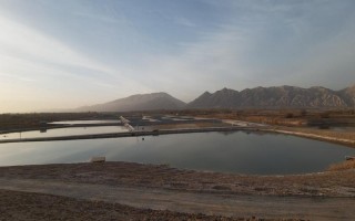 新疆兵团 红旗农场