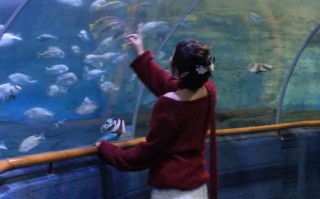 厦门海底世界在哪里？