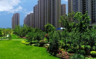 合肥高新区长江西路有何特别之处？