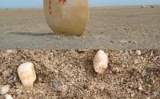 新疆胡杨林宝石滩门票多少钱？