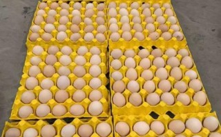 南昌哪能买到正宗土鸡蛋？