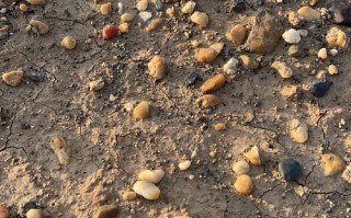 新疆捡石头群2025，有何新玩法或新规定？