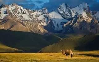 新疆吉尔吉斯斯坦签证