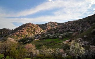 新疆伊栈国际青年旅舍有何独特魅力？