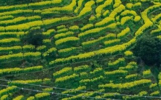 婺源划归景德镇，行政区划调整有何深意？