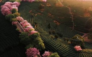 福建龙岩在福建省的具体位置在哪？