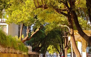 江西理工大学南昌校区有何特色？