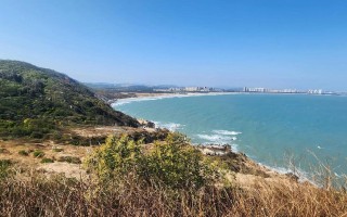 福建东山岛今日有何最新动态？