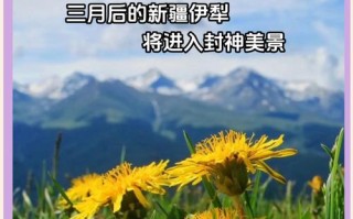新疆旅游最佳季节是几月？