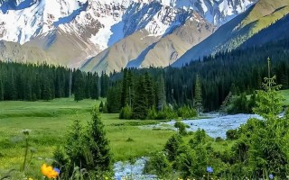 新疆薰衣草花海具体位置在哪？