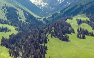 新疆伊犁会有高原反应吗？