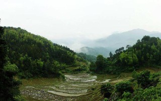 江西 高安 华林 西溪