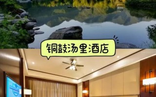 江西汤里温泉门票价格是多少？