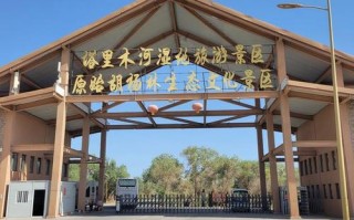 新疆金色阳光国际旅行社有何特色服务？