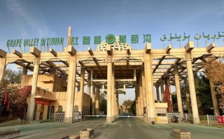 吐鲁番葡萄沟图片里藏着怎样的美景？