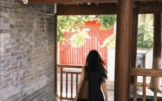 jasmine 福建 是谁或什么故事？