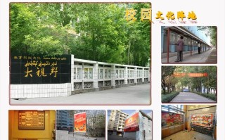 新疆石油学院培训中心有何特色？