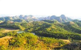 江西岑山国家森林公园有何独特魅力？