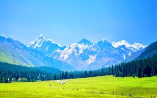 新疆景点图片大全有哪些值得一看？