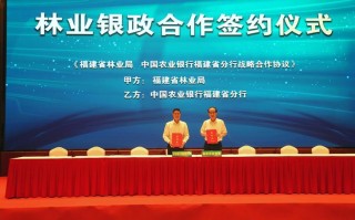 中国农业银行福建省分行有何新动态？