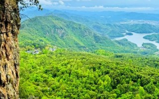 福建浦城有哪些必游景点？