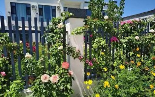 新疆伊犁清水河镇酒店怎么样？