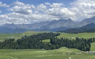 新疆江布拉克为何成必打卡秘境？