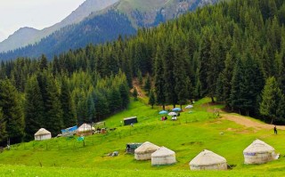 新疆新疆东大塘旅游风景区有哪些必打卡景点？