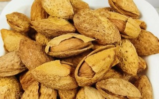 新疆巴旦木最新价格多少钱一斤？