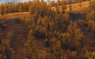 新疆中秋有哪些特色习俗？