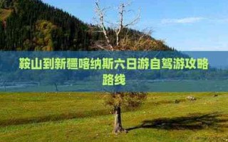 鞍山到新疆自驾游路线怎么规划？