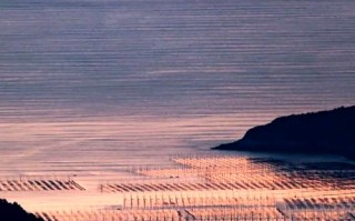 福建霞浦摄影获奖作品有何独特魅力？