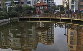 江西修水新城花园一期有何最新进展？