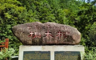 桐木村有何独特魅力与故事？