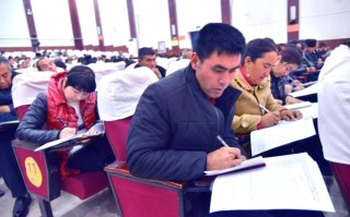 新疆洛浦县人力资源网提供哪些服务？