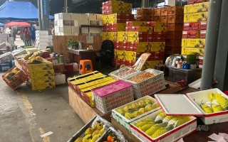 福建水果批发市场具体位置在哪？