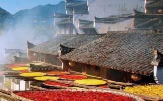 江西秋天十大景点，哪些最值得去？