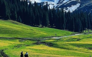 新疆草原有哪些必打卡景点？