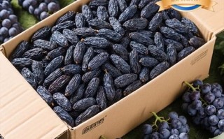新疆特产黑加仑葡萄干有何独特之处？