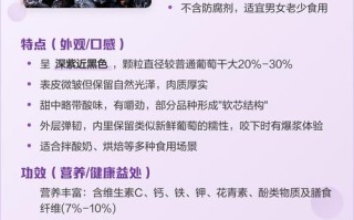 新疆黑加仑有何独特营养价值？