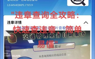 江西萍乡车辆违章怎么查？