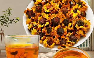 新疆雪菊什么时候采摘