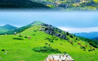福建最大草原究竟在何方？