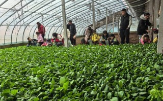 新疆库尔勒中青旅行社怎么样？