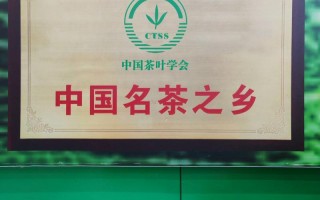 江西洪邦茶业有限公司有何特色或优势？