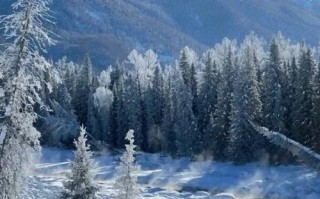 新疆十一月适合旅游吗？