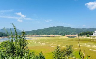 江西赣州上犹县大草园有何特色？