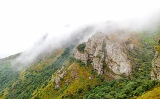 九连山国家森林公园有何独特魅力？