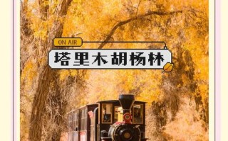 新疆轮台胡杨林几月黄