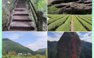 武夷山市区地图有哪些关键区域？